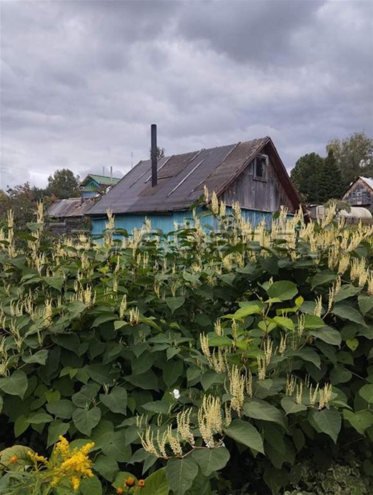Коттедж/дом участок, 28